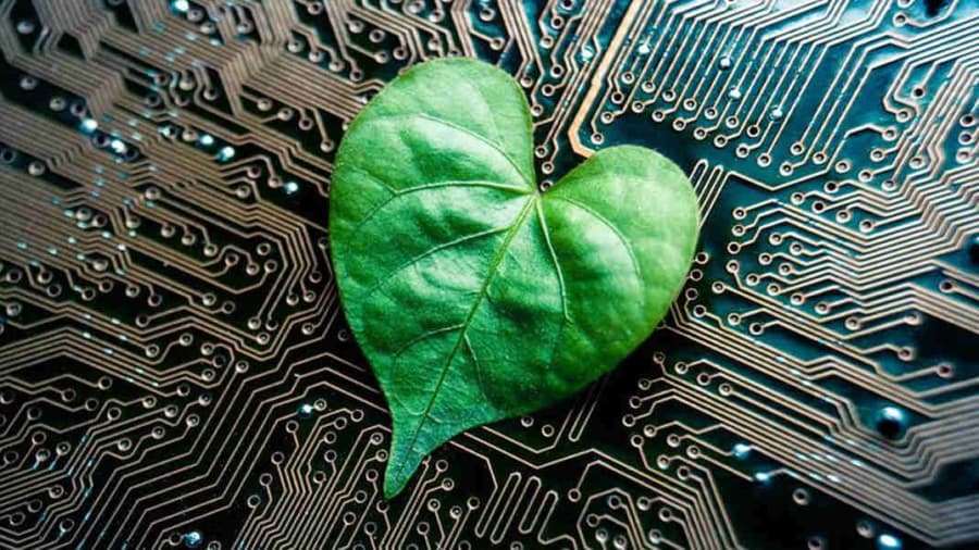 A revolução verde nos cassinos: jogos de azar sustentáveis e responsabilidade social - 2